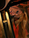 Paingate Free Images