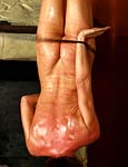 Paingate Images