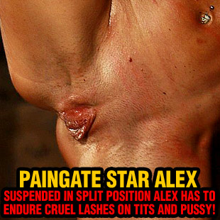 www.paingate.com