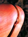 Paingate Images