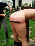 Paingate Images