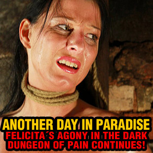 www.paingate.com