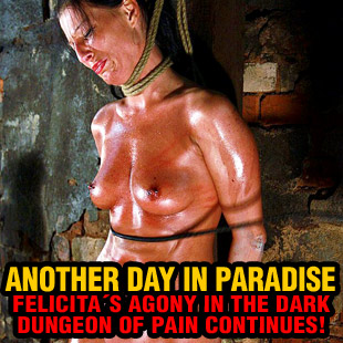 www.paingate.com