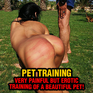 www.paingate.com