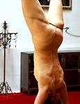 Paingate Images