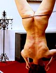 Paingate Images
