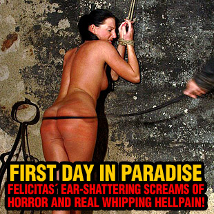 www.paingate.com