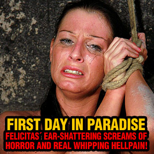 www.paingate.com