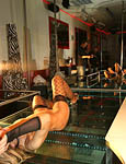 Paingate Free Images