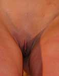 Paingate Images