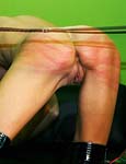 Whipping Punishment