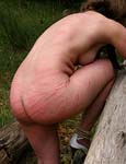 Paingate Images