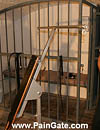 paingate.com - 02.JPG