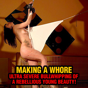 www.paingate.com