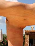 Paingate Images