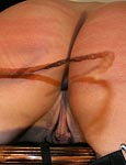 Paingate Images
