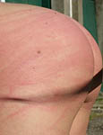 Paingate Images