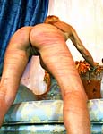 Paingate Images