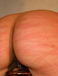 Paingate Images