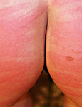 Paingate Images