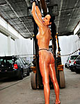 Whipping Punishment