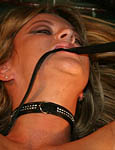 Paingate Images