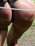 Paingate Images