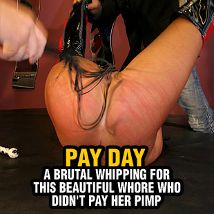 www.paingate.com