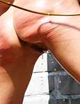 Paingate Images