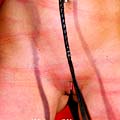 whippedwomen.com
