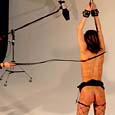 whippedwomen.com