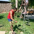 whippedwomen.com