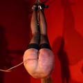 whippedwomen.com