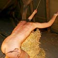 whippedwomen.com