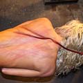 whippedwomen.com