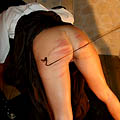 whippedwomen.com