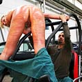 whippedwomen.com