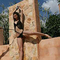 whippedwomen.com