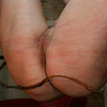 whippedwomen.com
