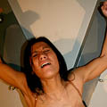 whippedwomen.com