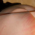 whippedwomen.com