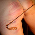 whippedwomen.com
