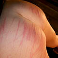 whippedwomen.com