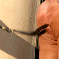 whippedwomen.com