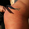 whippedwomen.com