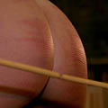 whippedwomen.com