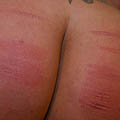 whippedwomen.com