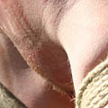 whippedwomen.com
