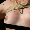 whippedwomen.com