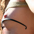 whippedwomen.com